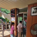 종합 카 에어콘 | 부산 아이와 금강공원 케이블카 왕복 요금 파전 전망대 주차