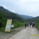 진동 마을회관 이미지