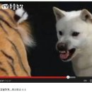 하룻강아지 이미지