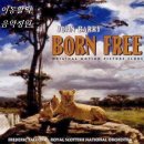 영화 '야성의 엘자 Born Free, 1966년 제작' OST - Born Free (존 배리 作曲) 이미지