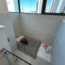 맘바이 루프탑 테라스 강아지 애견호텔 애견유치원 이미지