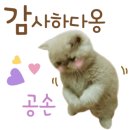체리쉬미용실