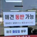 배상궁 이미지