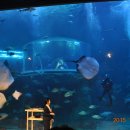 반딧불요양원 이미지