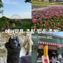 게임어드벤처(삼성물산) | 용인 에버랜드 주말 후기 | 동선 코스 추천 튤립축제 사파리 먹거리 주차 꿀팁