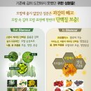 허니블룸 이미지