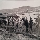 추자 처사각 Daum카페