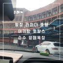 두꺼비목장 | 평창 라마다 호텔 아기와 호캉스 식당가 순수양떼목장체험 내돈내산 후기