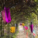 식물원옆카페 | 창원 진해 보타닉뮤지엄 식물원 카페 후기