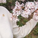 라임라이크 (LIME LIKE)