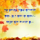 부강연합외과의원 | 화상전문병원/부강외과의원/2025.11.26