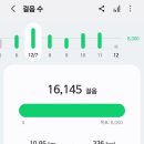 렉터 서울