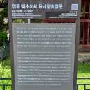 채하정 이미지
