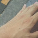 서림동주민센터 이미지