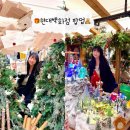 토리버치현대백화점 - 성남시 분당구 판교역로146번길 20 | 강남 현대백화점무역센터점 크리스마스 팝업 삼성역 코엑스 가볼만한곳 주말후기