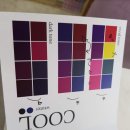 (주)진하컨설팅 | 퍼스널 컬러 홍대 컬러엘 방문 후기