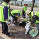 대성베르힐경로당 이미지