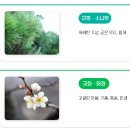 새솔고등학교 이미지