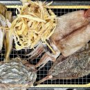 바다건어물 이미지