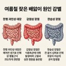 가스콜
