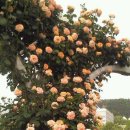 미담한방병원 이미지