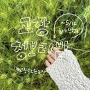 여산농장 | 고창 여행 (2) 고창청보리밭축제 다녀온 후기
