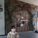 평택 캐니언파크 아이와 가볼만한곳- (실내동물원 동물먹이체험, 뱀과 고슴도치 만질수 있고, 카약을 탈...