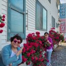 안면도 빨강펜션 이미지