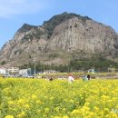 산방산