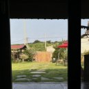 스테이 도토리 네이버블로그