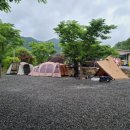 캠핑월드 이미지