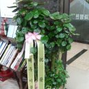 서울귀한이치과병원 이미지