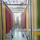 거창손국수 네이버블로그