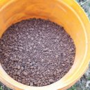 동해종묘사 이미지