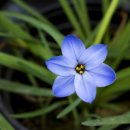 나비사랑 이미지