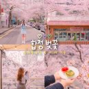 카페미뇽 | 4월 서울 벚꽃 명소 :: 합정 벚꽃거리 &amp; 카페 미뇽 주말 오픈런 후기