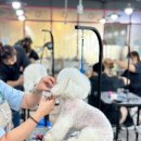 수 애견미용 이미지