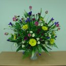 밀드플레 이미지