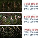 산삼 : 우수한 품질의 산양삼을 소개합니다.(선물용으로 인기가 많습니다) / 해령천다:냉증으로 고생하시는 분 이미지