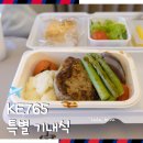 인하대학교의과대학부속병원 | 다 같은 이코노미 탔는데 "내 기내식만 먼저?" 대한항공 KE765 후기