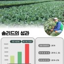 솔리드(SOLID)