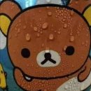 보경 이미지