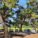 맹방 비치캠핑장 이미지