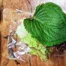정가네족발 - 서구 구덕로295번길 31-1 | 정가네족발