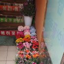 [흑석동 꽃집] 단골이 많은 꽃집 : 예하 플라워