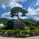 기가찬 | 영암 월출산 기찬랜드 후기