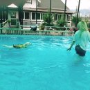 스위트몽 이미지