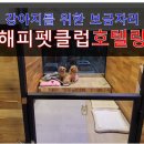 해피펫클럽 이미지