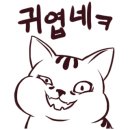 판교공영주차장 이미지