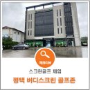 버디스크린골프방 이미지